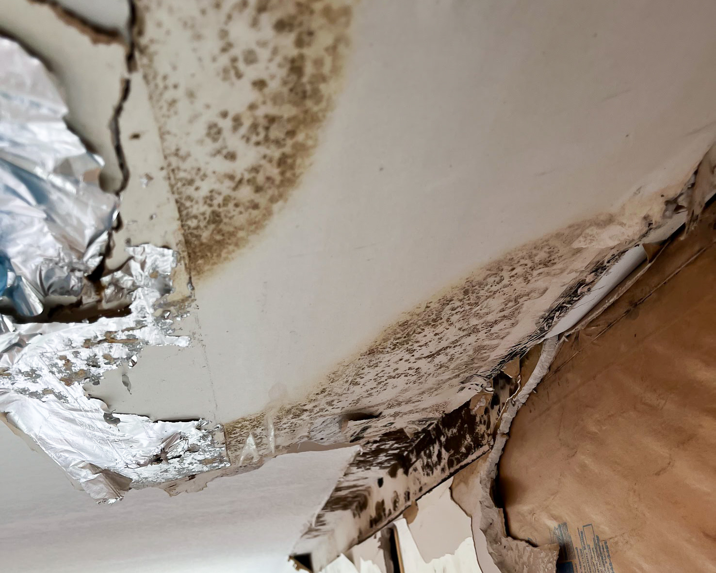 Mold damage on collapsed ceiling — combined water and mold damage